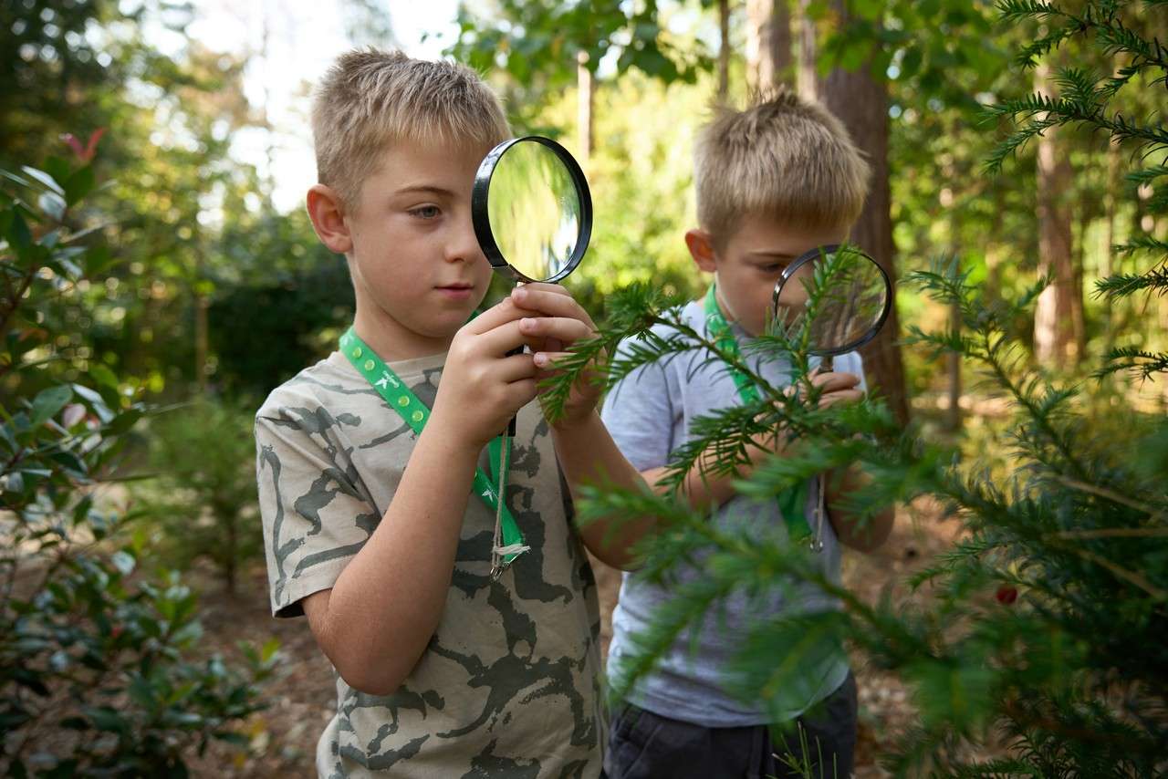 Two children hold magnifying glasses, inspecting evergreen branches and leaves, standing side by side in a sunlit wooded garden surrounded by shrubs, trees, and dappled light.