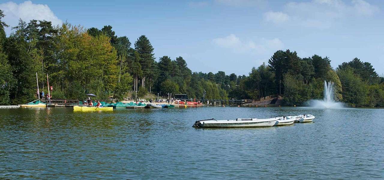 Rowboats float on a calm lake while people paddle kayaks near a dock; surrounding pine trees and a distant water fountain frame a sunny recreational park setting.