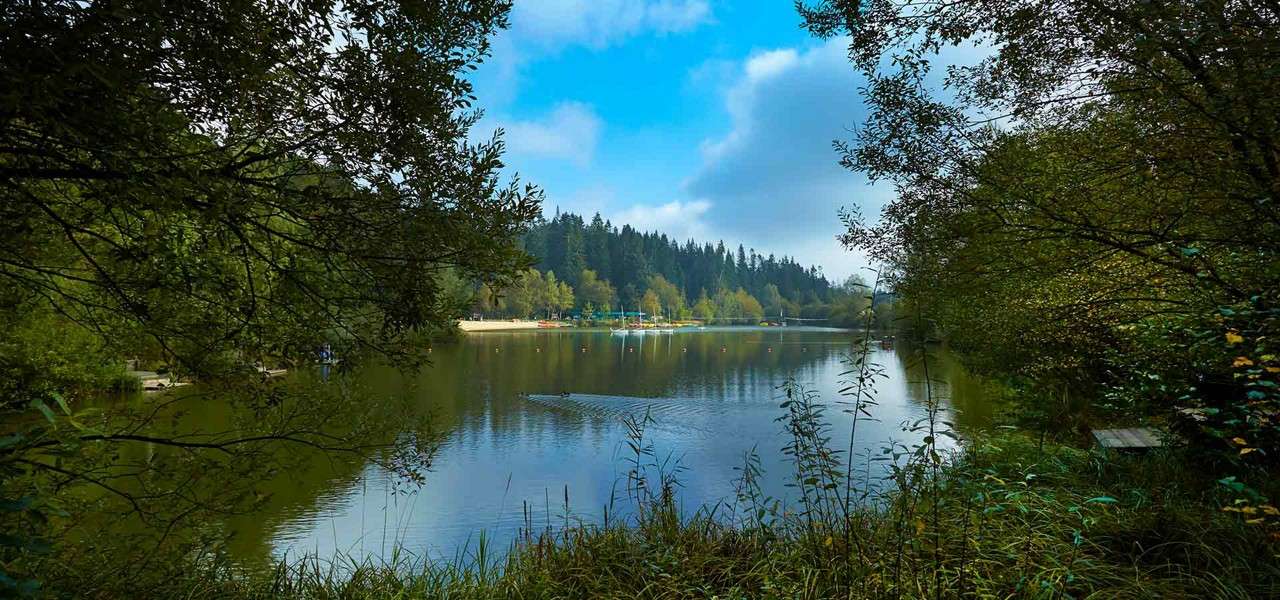 Calm lake reflects blue sky and gentle ripples, framed by overhanging trees and grasses. In the distance, a forested shoreline, small beach, boats, and buoys sit under partly cloudy light.