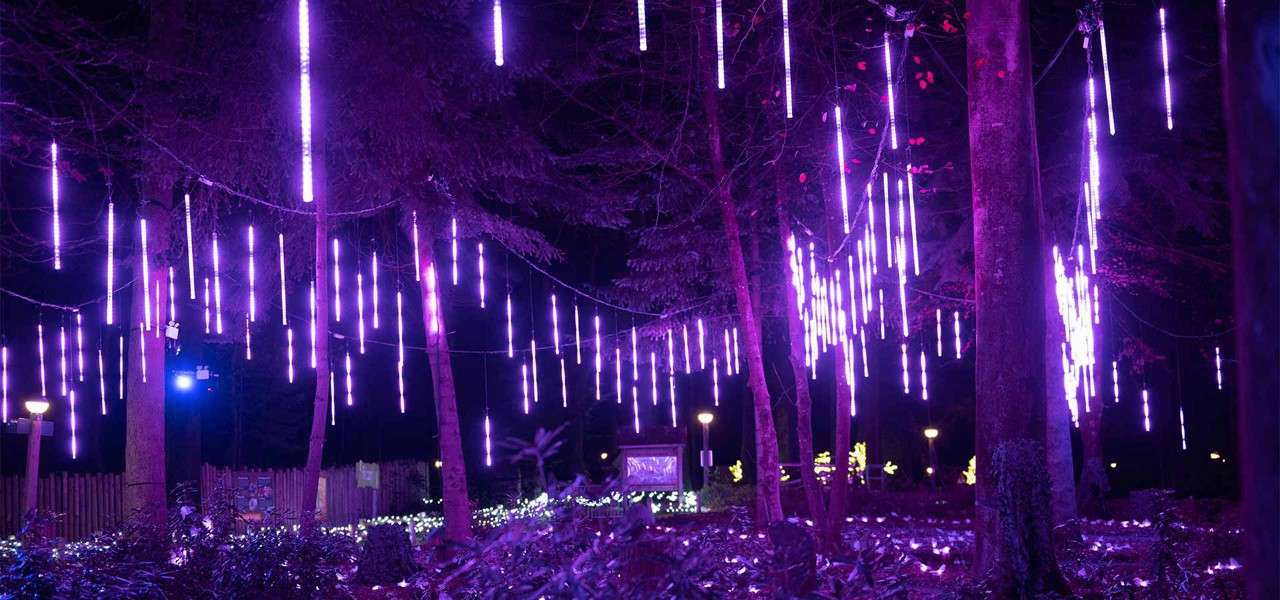 Hanging LED light tubes glow purple, suspended from tree branches, illuminating a nighttime forest walkway with dripping-icicle patterns while low garden lights and distant lamps punctuate the dark surroundings.