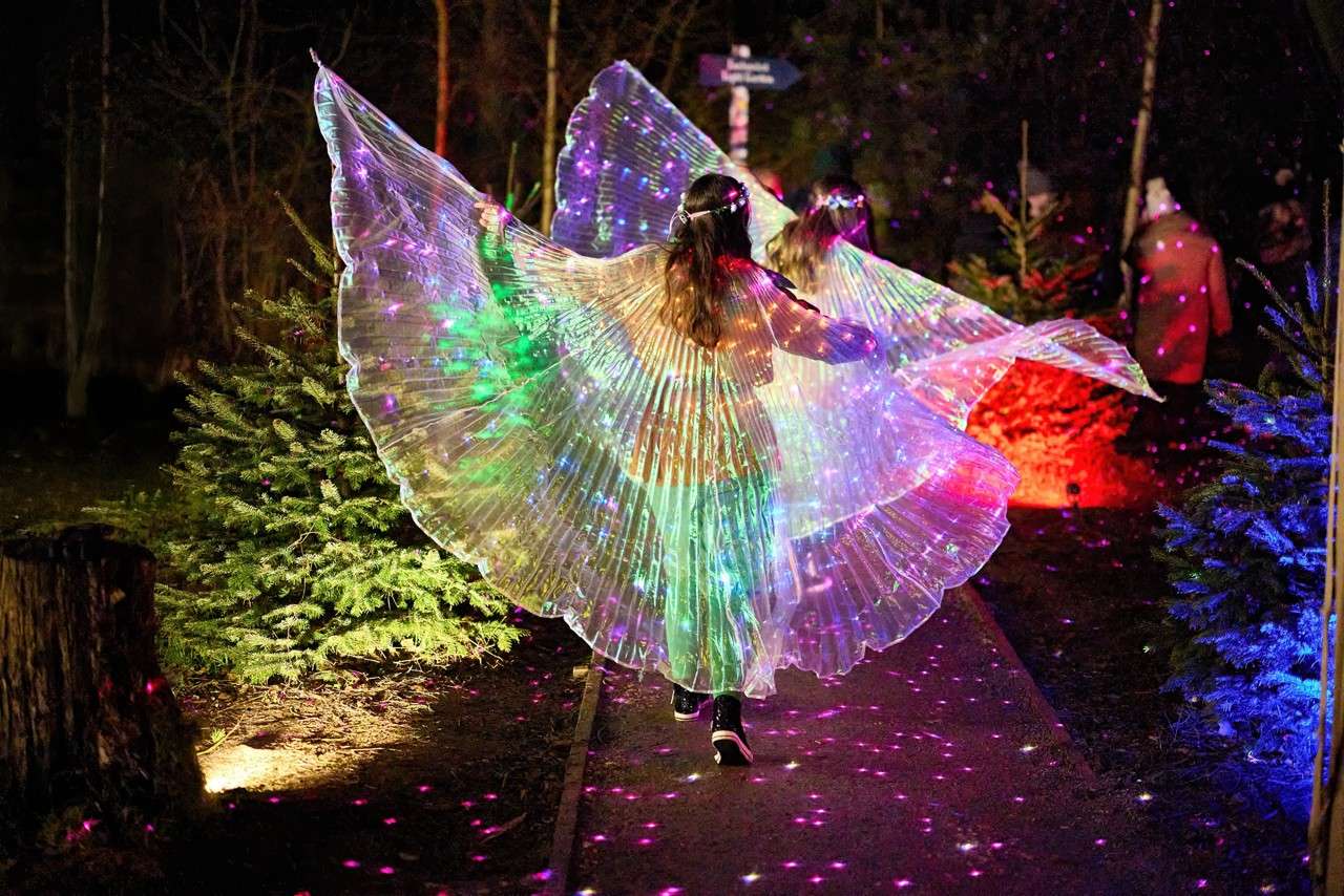 WFL WO 2025 PRE SCHOOL 11