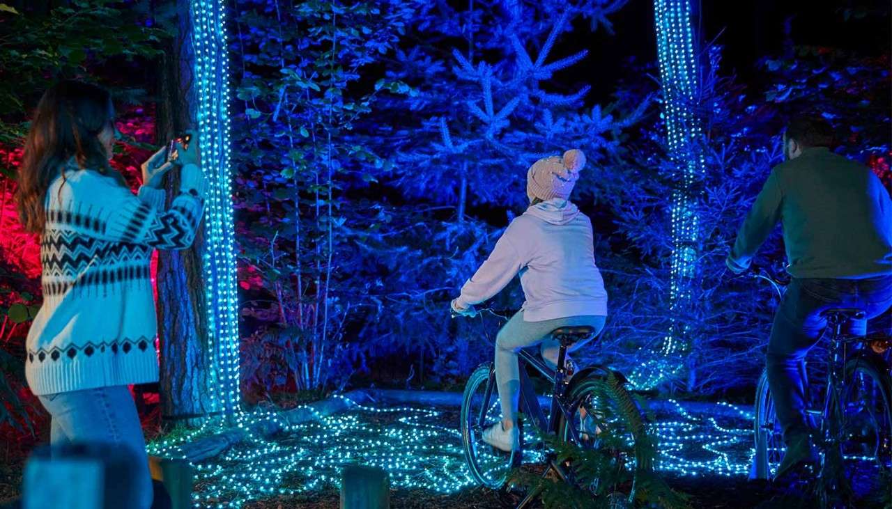 A girl on a bicycle lighting up the forest as she peddles.