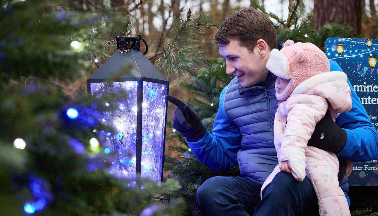 A father and his child looking into the brightly lit lanterns.
