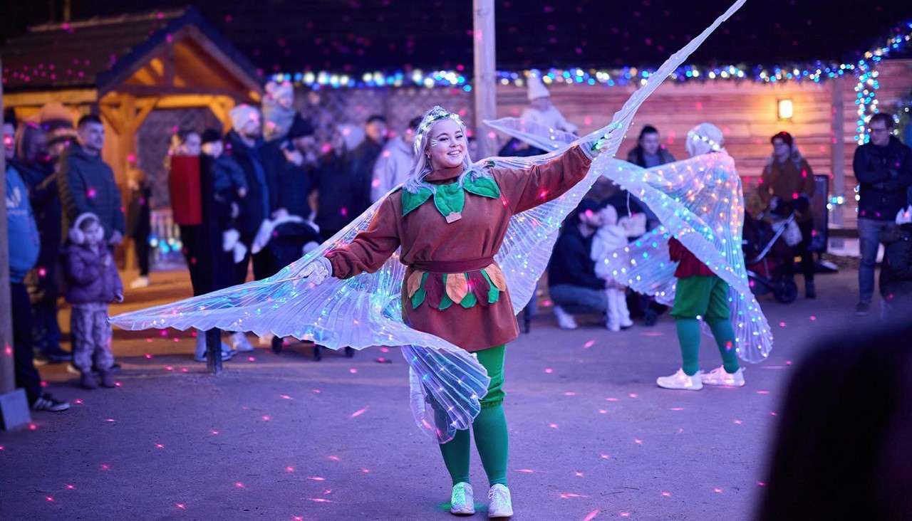 Winter Forest Lights.