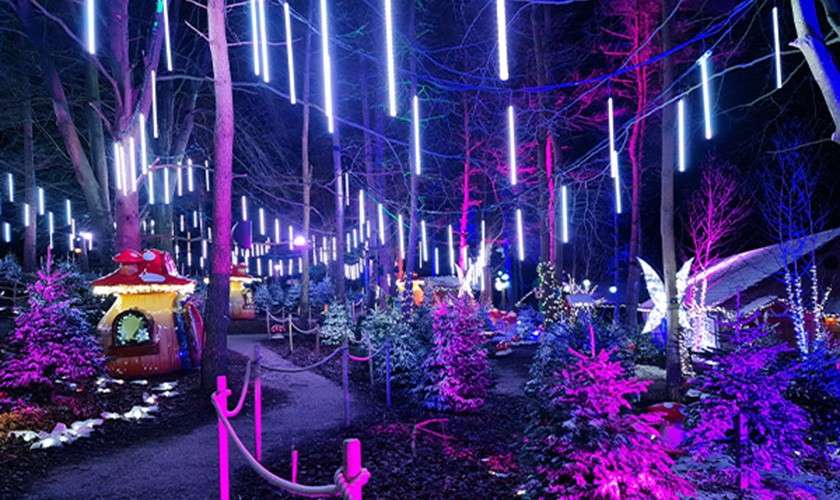Suspended LED tubes glow brightly over a nighttime forest path lined with small evergreens, a rope-guided walkway, a whimsical mushroom house, and wing-shaped light sculptures, bathing scene in violet-blue light.