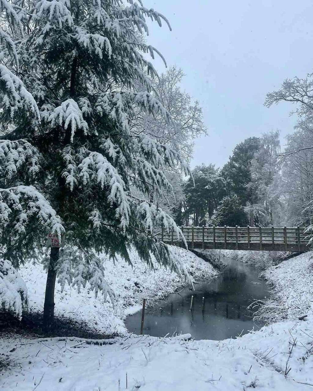 Wooden footbridge spans a narrow, partially frozen stream; snow-laden evergreen branches droop nearby; surrounding trees and ground are blanketed in fresh snow. Sign on tree reads: DANGER THIN ICE.