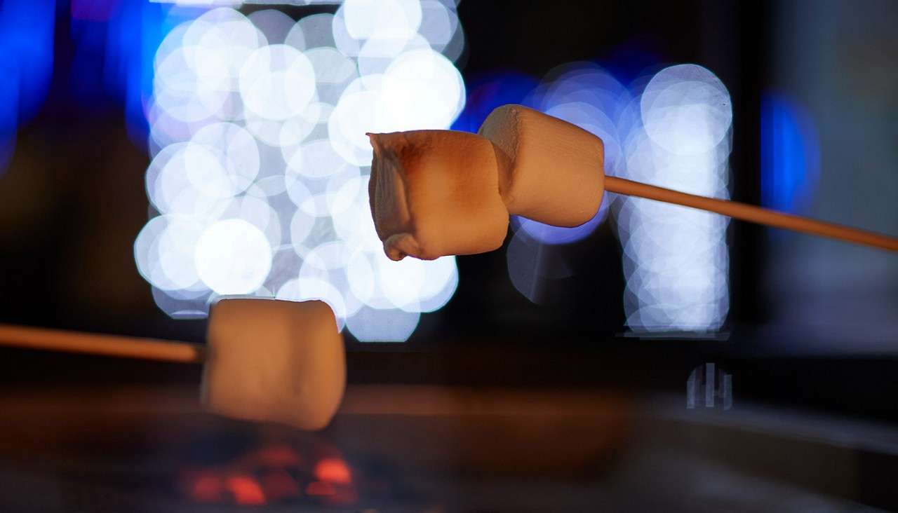 Child extends outstretched hands, catching falling snowflakes. Set in a snowy outdoor scene beside evergreen trees and a wooden fence, wearing a teal coat and pink knit hat, cheeks rosy.