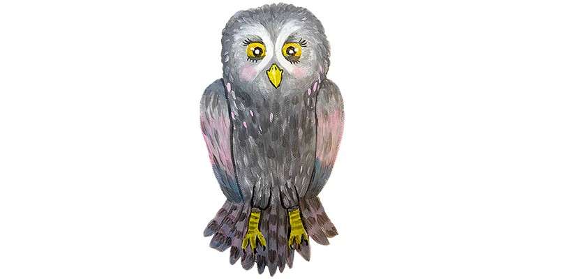 Cartoon owl faces forward, perching calmly with folded wings. Gray feathers with pink accents, yellow beak and eyes, and yellow talons. Set against a clean white background.