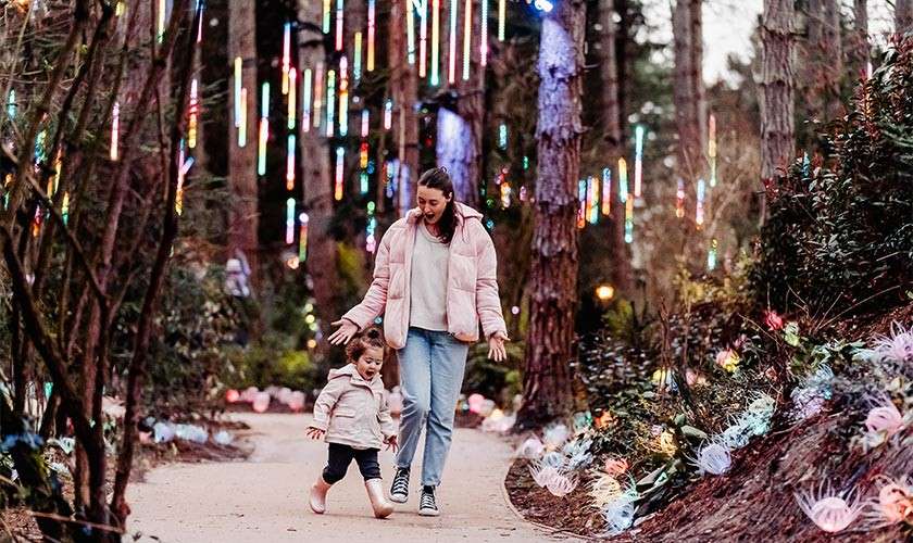 A family looking at the lights in the forest.