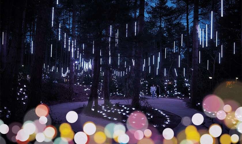 LED light tubes hang and glow, illuminating a winding forest path at night, while two people walk beneath tall trees; blurred colorful bokeh dots float in the foreground.