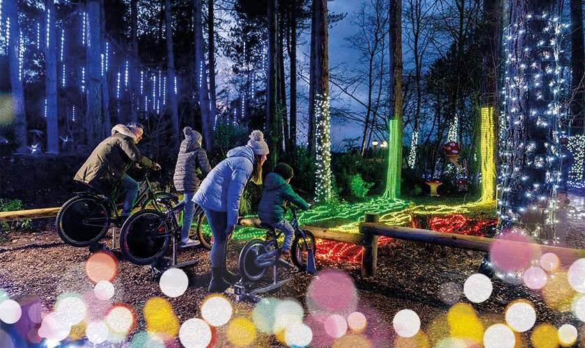 Three people pedal stationary bicycles, generating colorful light patterns on the ground and trees, in a wooded park at dusk. Fairy lights drape trunks; blurred bokeh glows in the foreground.