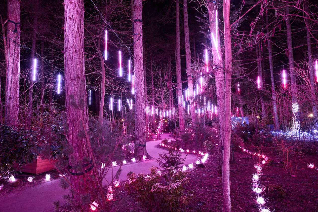 Family with two children and a costumed fairy smile and chat among snow-dusted Christmas trees and lights, by a path, while one adult kneels and gestures beside red-and-white mushroom decorations.