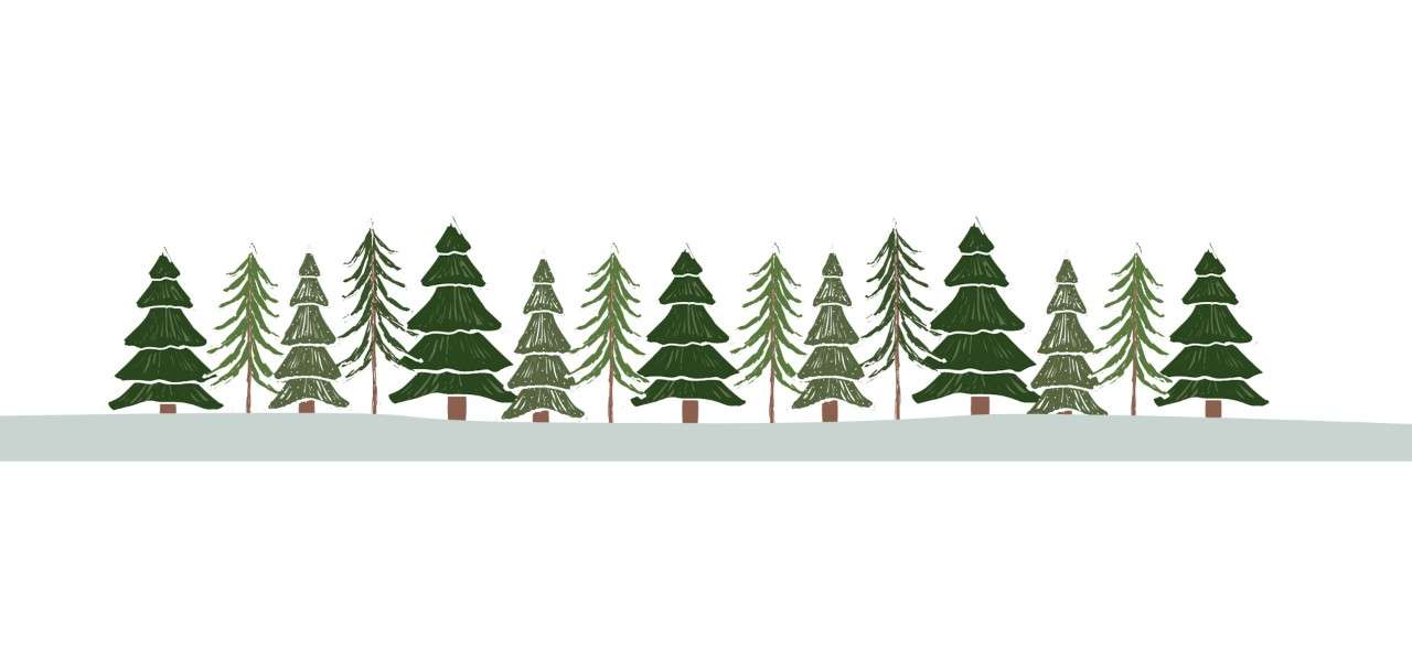 An illustration of green trees dusted with snow. 