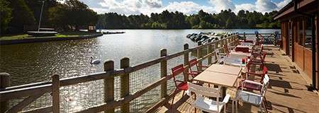 Outdoor café tables and chairs sit empty, overlooking a calm lake; sunlight glints on water as a swan and pedal boats drift nearby, trees and a boathouse bordering the scene.