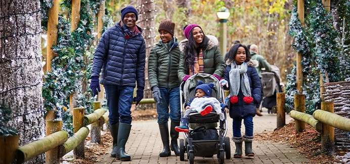 A family walk through the wintery woodland 