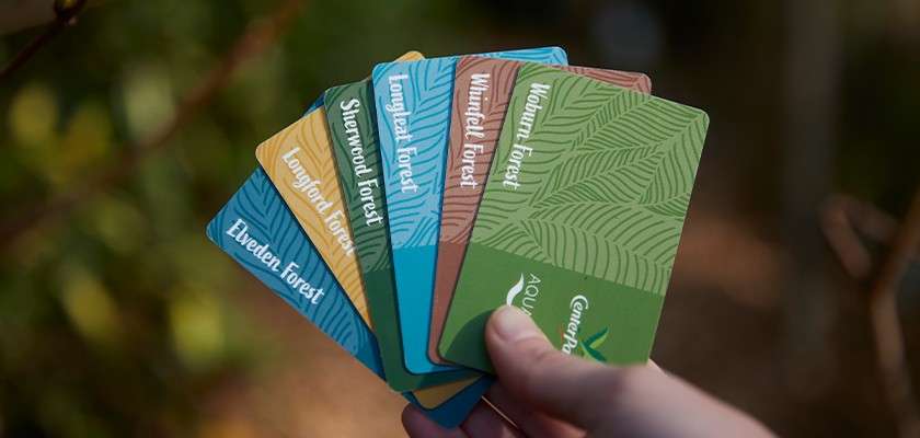 Hand fans out five colorful cards outdoors; printed names: Elveden Forest; Longleat Forest; Sherwood Forest; Whinfell Forest; Woburn Forest; AQUA.