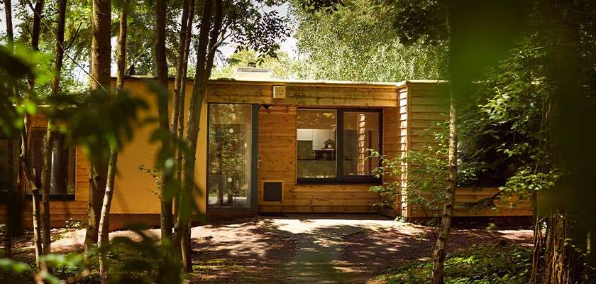 Wooden cabin stands with large windows, reflecting light; sunlight filters through surrounding forest, casting dappled shadows on a dirt path leading to the entrance.