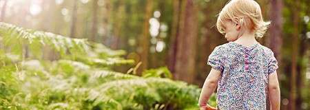 A toddler walking through the forest