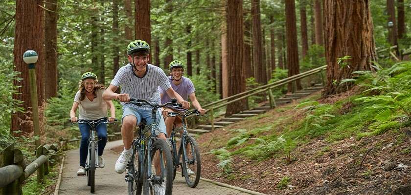 Teenaged brothers and their mother cycle through the forest