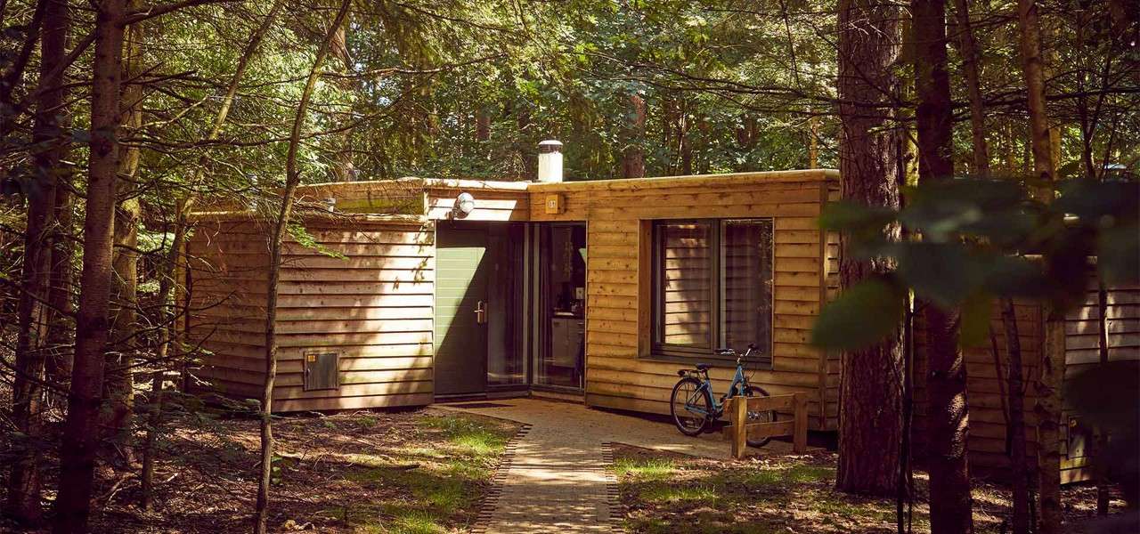Wooden cabin stands with sliding door open, revealing interior; a blue bicycle rests outside. In a shaded forest clearing, a narrow path leads to the entrance; sign reads "31".