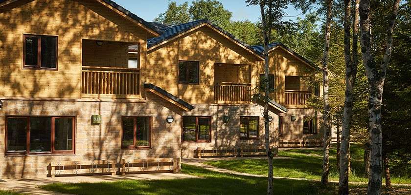 Wooden lodge facades sit in sunlight, featuring upstairs balconies and ground-floor windows; birch trees cast shadows across grassy paths. A small sign reads “312”.