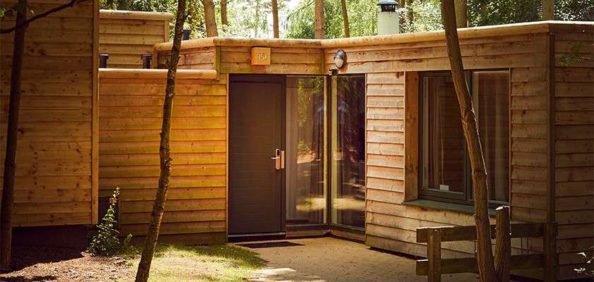 Wooden cabin stands quietly, front door closed and windows reflecting light, beside a glass entry panel. Surrounded by tall trees, dappled sunlight, and a sandy path with wooden fence nearby.