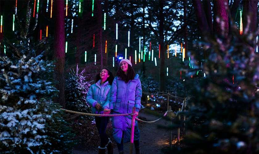 Two bundled-up people walk and smile, holding a rope guide along a path, as multicolored light tubes hang above in a snowy evergreen forest at dusk.