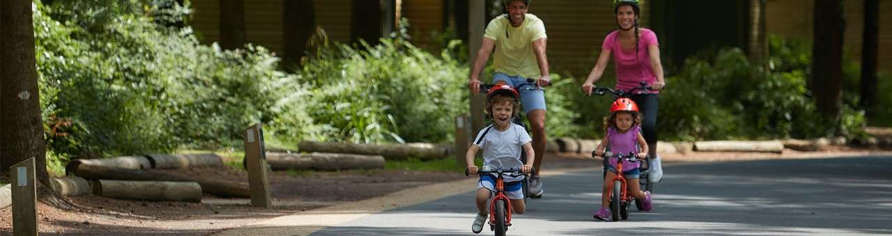 A family on bicycles riding through the forest paths.