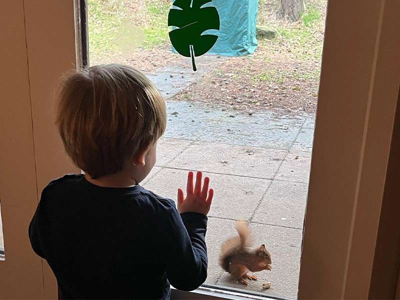 A child looking at a squirrel through a glass door. 