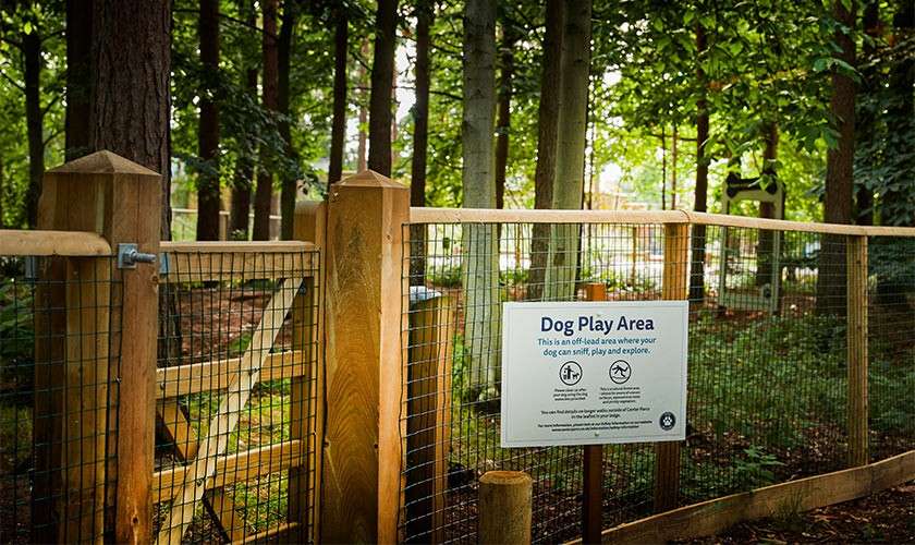 A dog play area.