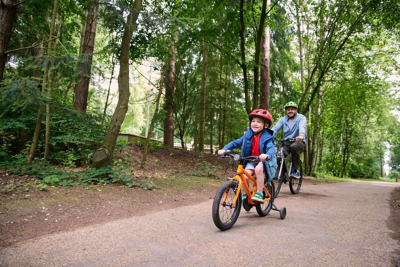 Three cyclists ride mountain bikes uphill, smiling, wearing helmets. Context: paved forest trail with tall redwood trees, wooden railings, ferns, and diffused daylight.