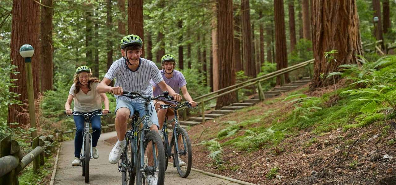 Three cyclists ride mountain bikes uphill, smiling, wearing helmets. Context: paved forest trail with tall redwood trees, wooden railings, ferns, and diffused daylight.