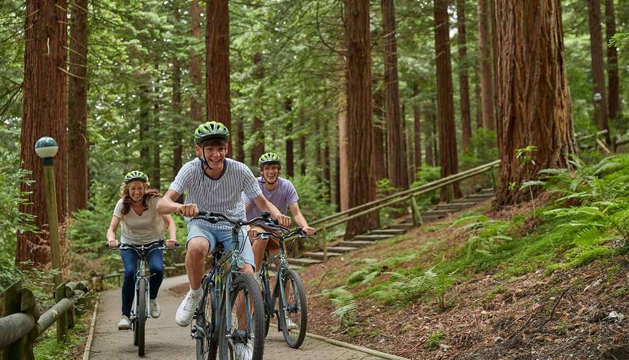 A family cycling through the forest
