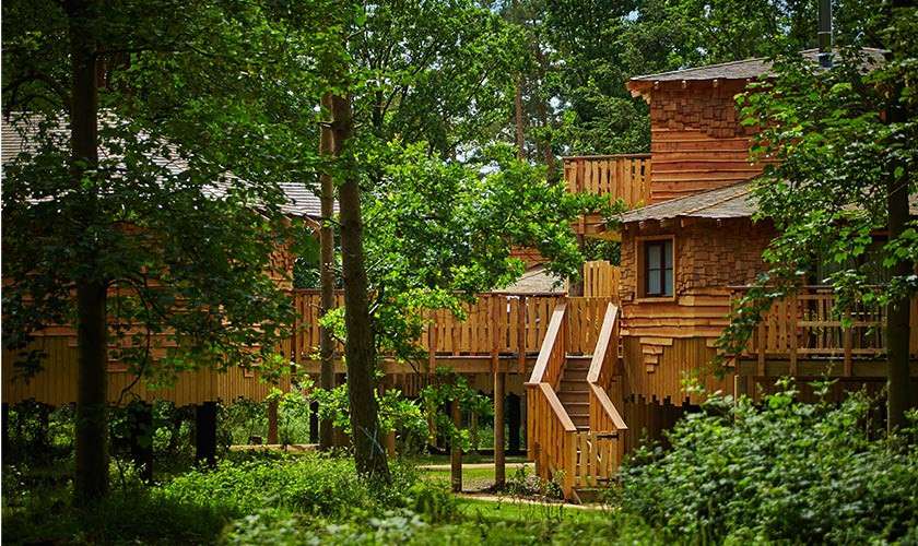 Exterior image of a treehouse.