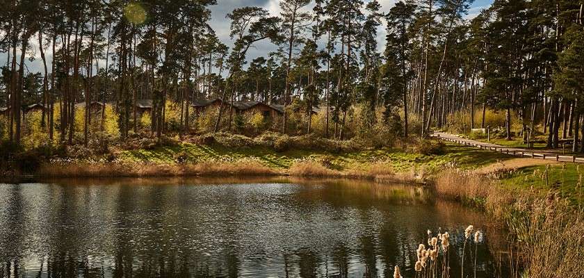 A photograph of the lake and trees
