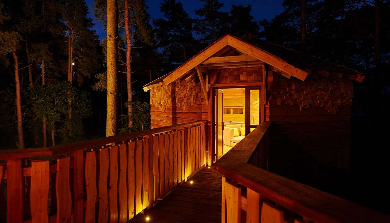 A wooden cabin glows warmly, its doorway open, illuminating an elevated walkway with embedded lights, as tall pine trees surround the structure in darkness, suggesting a retreat in a forest.