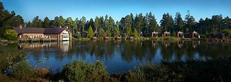 Lake reflects lakeside lodge and small cabins; still water dotted with birds. Tall conifer trees line the shore under clear blue sky, with shrubs in the foreground.
