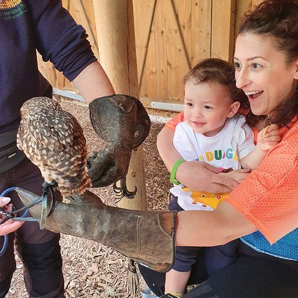 A child and her mum holding an owl