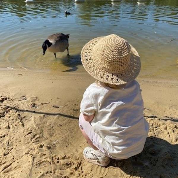 A child crouching by the lake looking at the ducks and geese