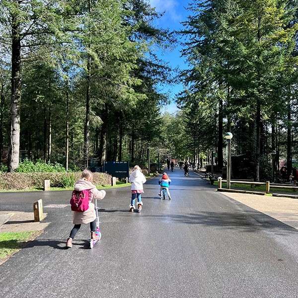 A family on bikes and scooters through the forest