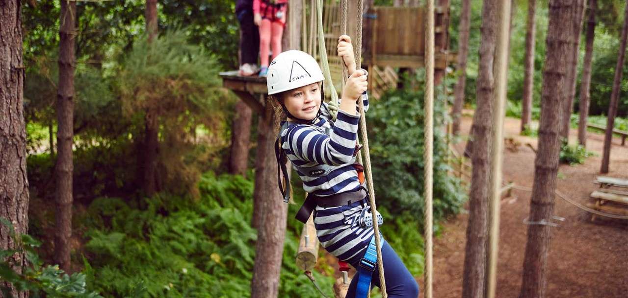 A boy on the Aerial tree top course