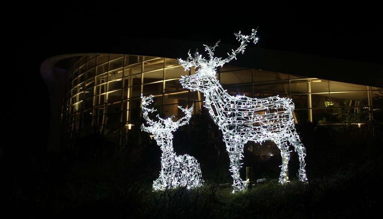 Two wire-frame reindeer sculptures glow with white lights, standing still beside each other at night, set in landscaping outside a modern glass-walled building with a curved roof.