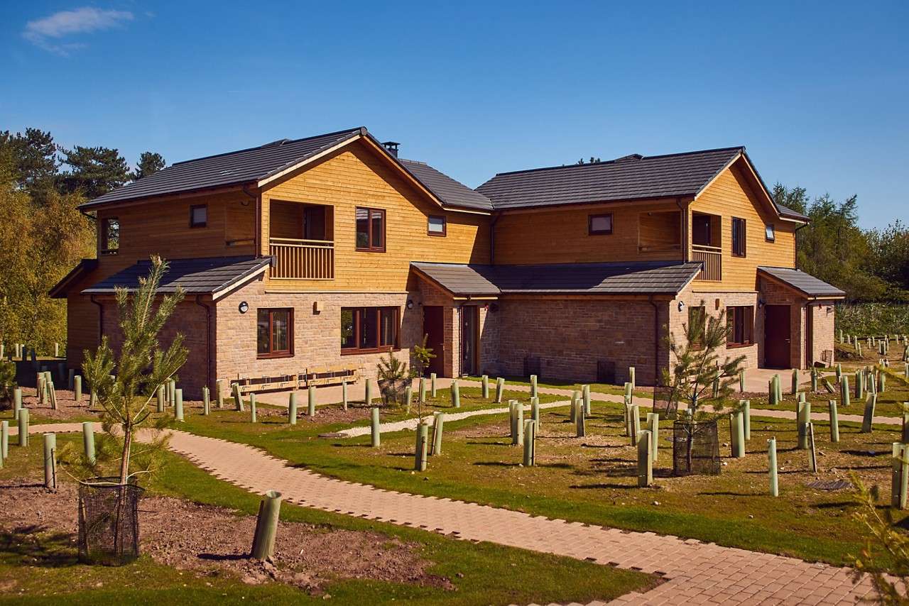 A Forest Lodge in the sun