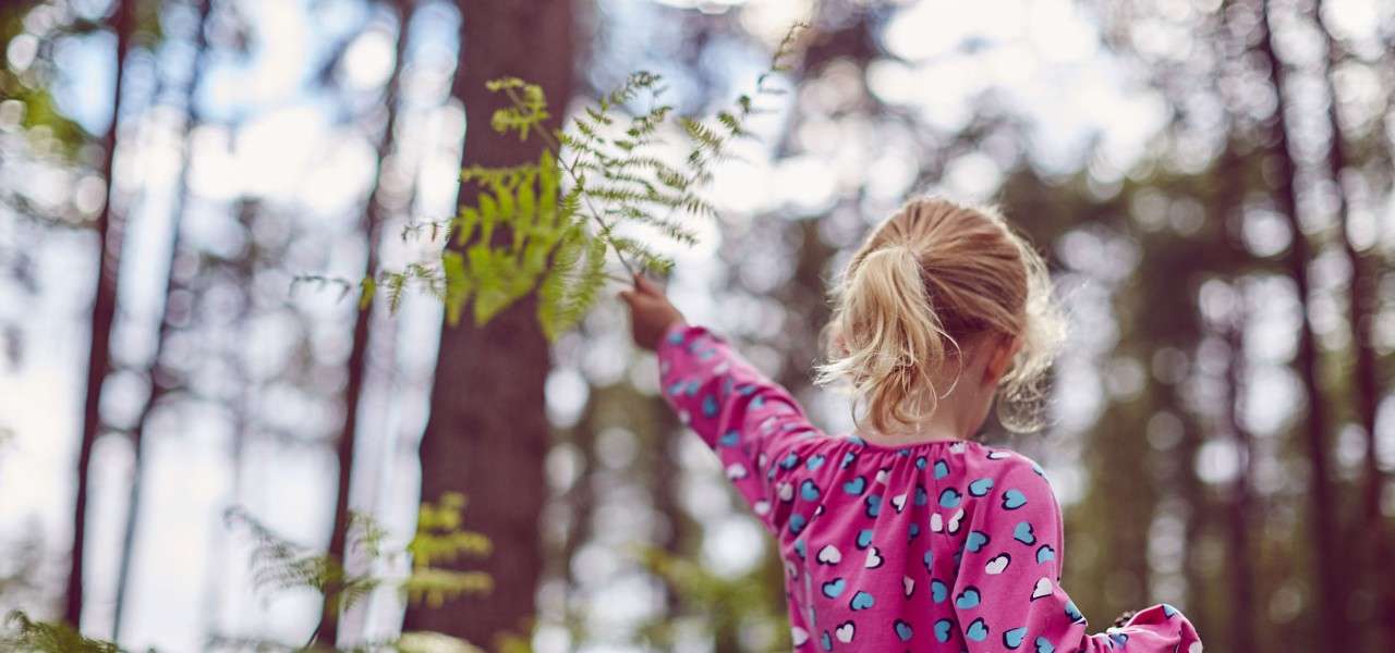 Little girl exploring nature holding a leaf in her hand