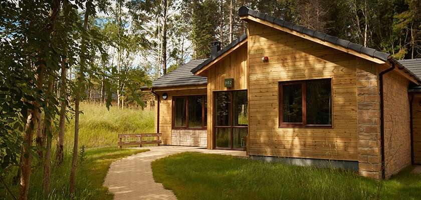 Wooden cabin stands with windows reflecting light; a curved brick path leads to its door labeled “902”. Surrounded by tall trees, grass, and a small bench nearby.