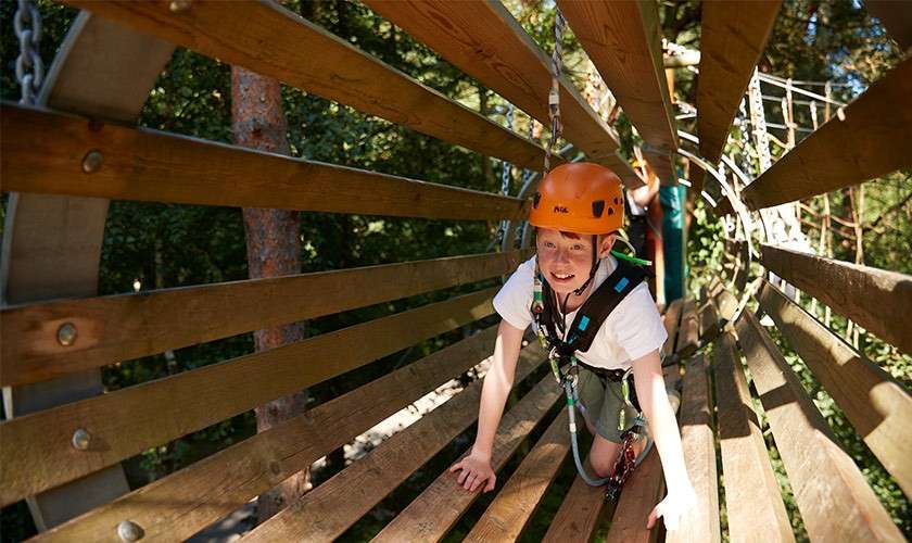 A harnessed participant crawls through a suspended wooden tunnel, clipped to an overhead safety line. They wear an orange helmet labeled Petzl, navigating a treetop ropes course amid sunlit forest.