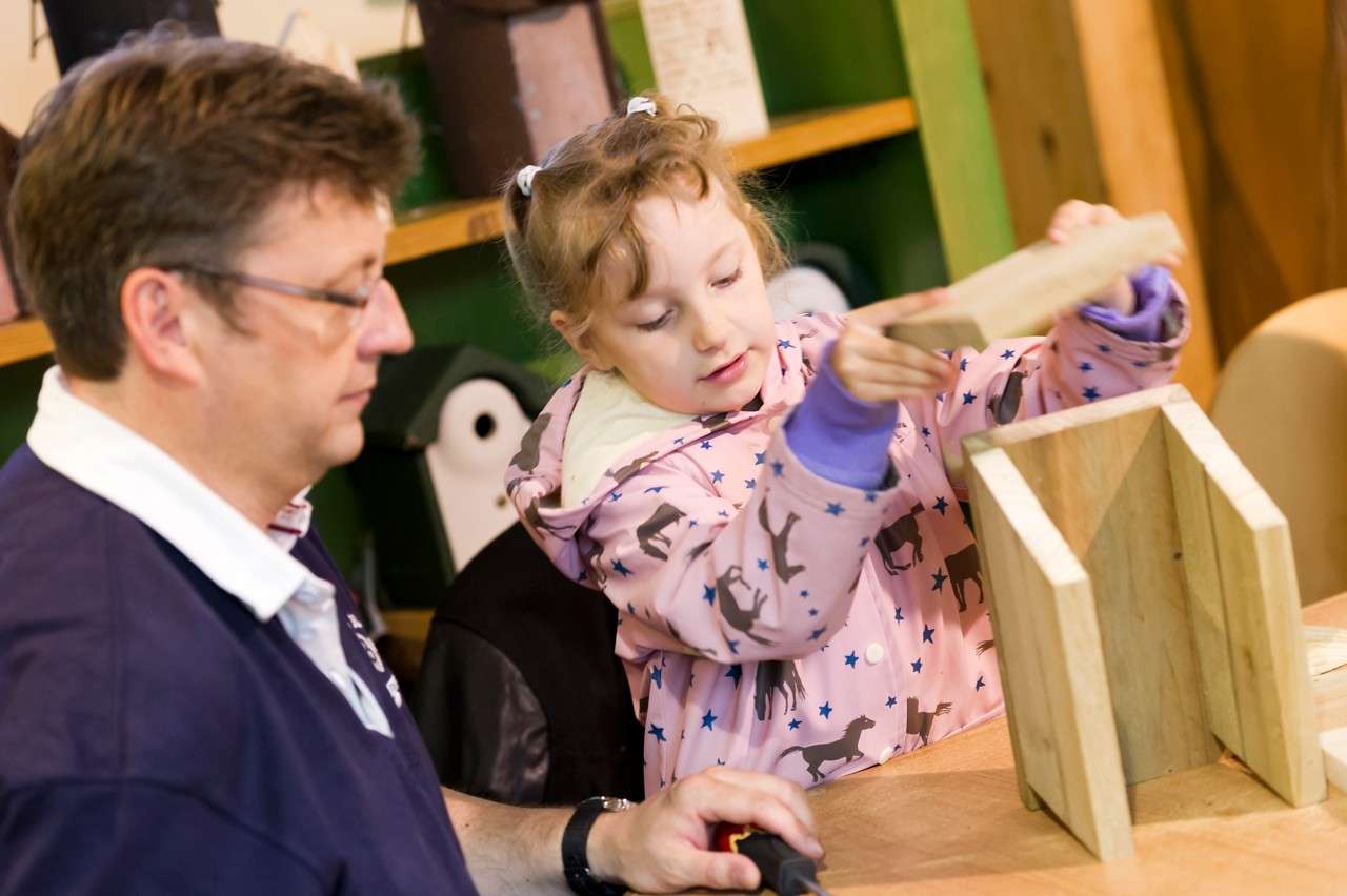 SF BUILD A NATURE HOUSE 4