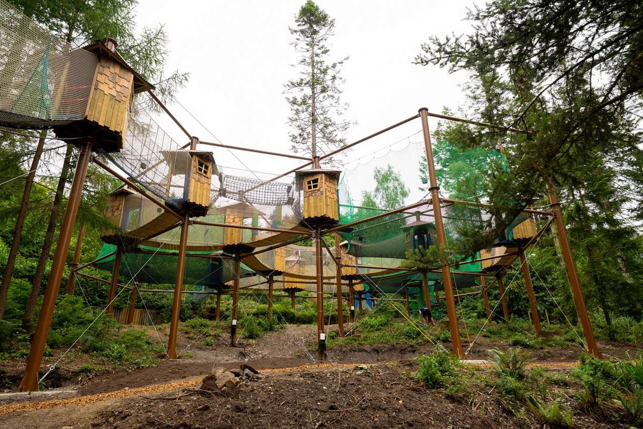 Multiple small wooden treehouses connect via rope bridges and net tunnels, suspended on tall poles; visitors traverse the elevated course within a forested adventure park setting.