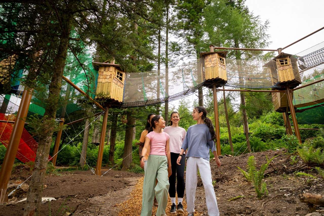Adventure Nets suspended in the trees.