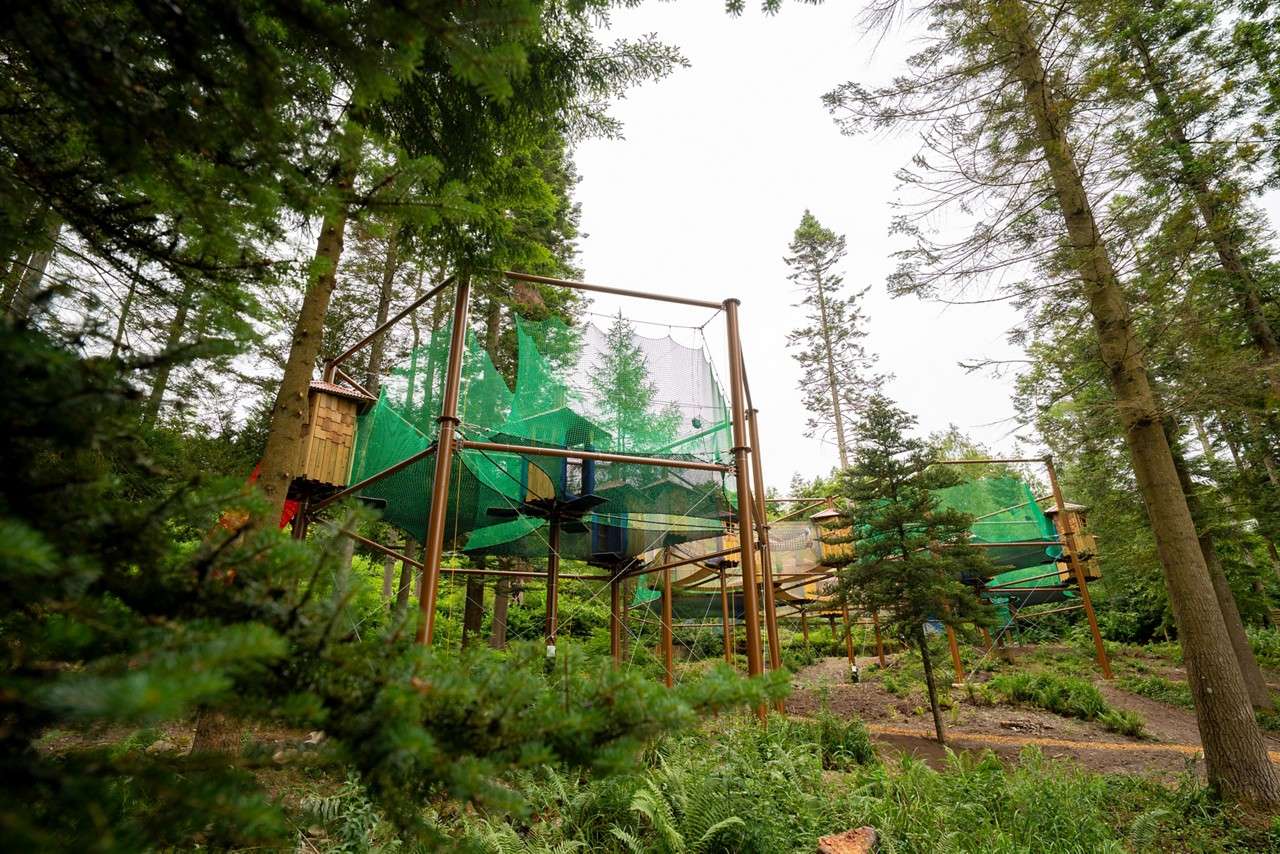 Adventure Nets course suspened in the trees.